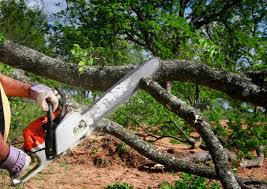 Best Seasonal Cleanup (Spring/Fall)  in Greenock, PA