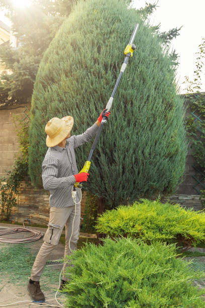 Lawn Grading and Leveling in Greenock, PA